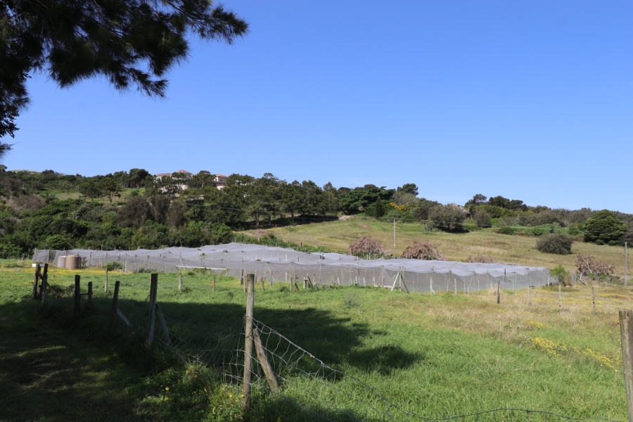 Commercial Property for Sale in Chelsea Eastern Cape